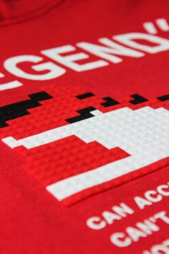 Legend Pixel Shoe Fleece Hoodie -Victorious JK5054 RED 7