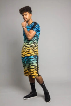 Dip Dye Gradient Tiger Set -Victorious ST400 BLU 2