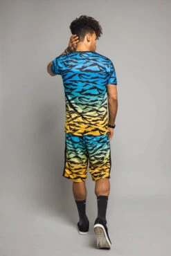 Dip Dye Gradient Tiger Set -Victorious ST400 BLU 3