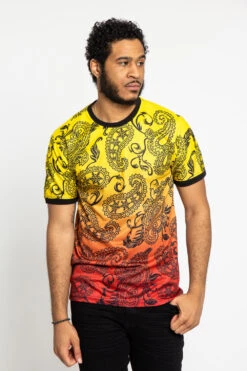 Paisley Gradient Ombre T-Shirt