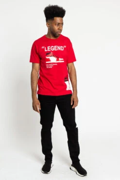 Legend Lego Pixel T-Shirt -Victorious TS7375 RED 5