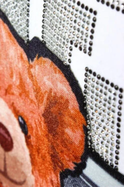 Money Stacks Crystal Embellished Bear T-Shirts -Victorious TS7492 WHT 2